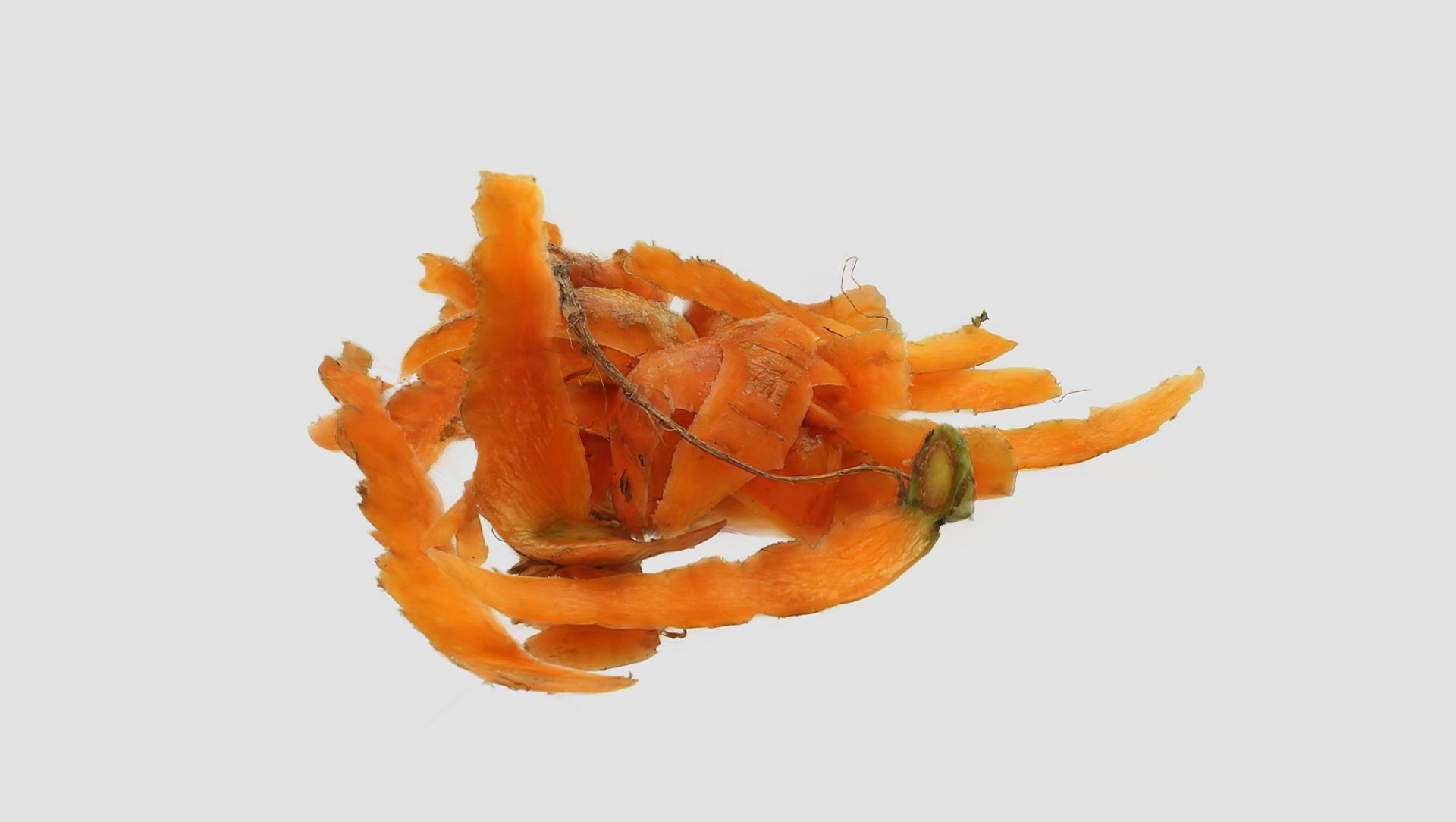 Meiko-Splatting Meiko-Splatting