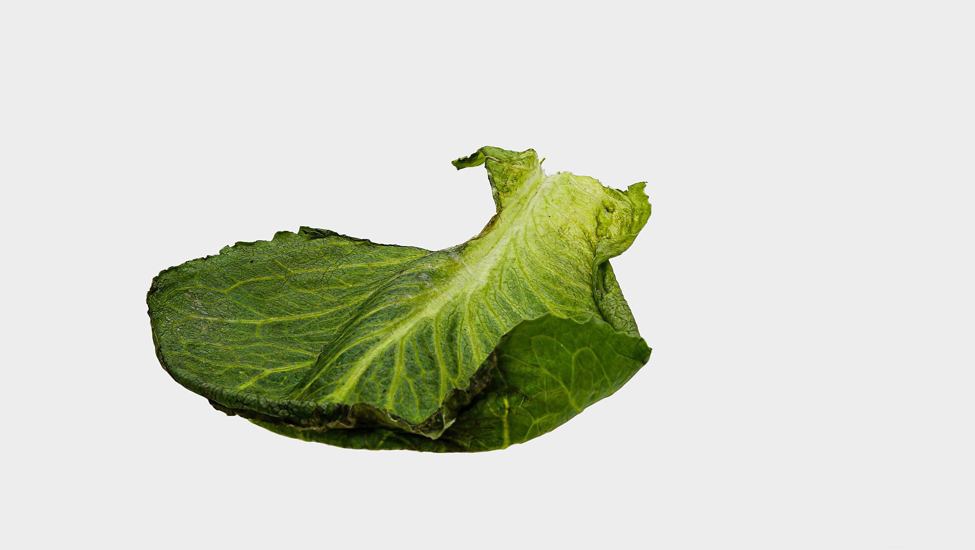 Meiko-Splatting Meiko-Splatting